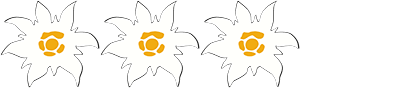 3-edelweiss-auszeichnung-blume