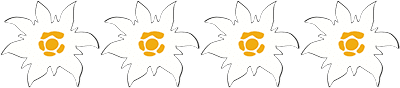 4-edelweiss-auszeichnung-blume
