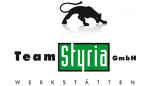 team-styria-logo-partner